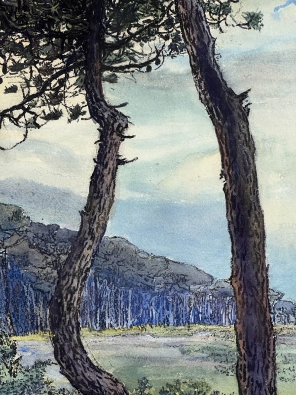 Marie-Paule CARPENTIER (1876-1915)<br /><em>Les Pins </em> – Image 2