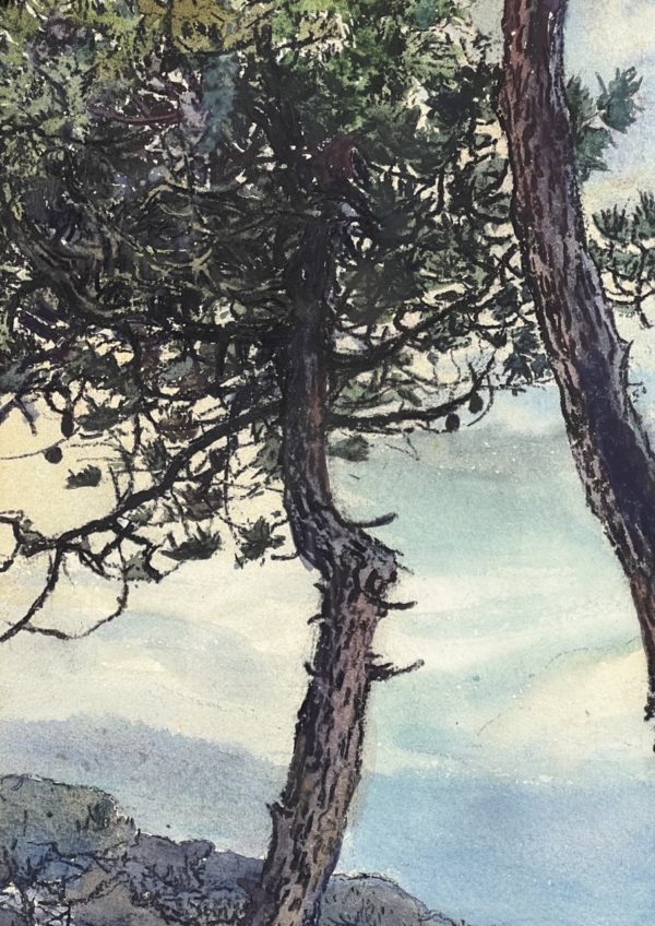 Marie-Paule CARPENTIER (1876-1915)<br /><em>Les Pins </em> – Image 4