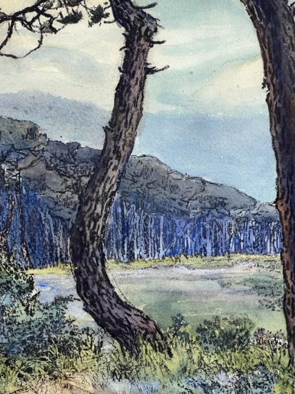 Marie-Paule CARPENTIER (1876-1915)<br /><em>Les Pins </em> – Image 6